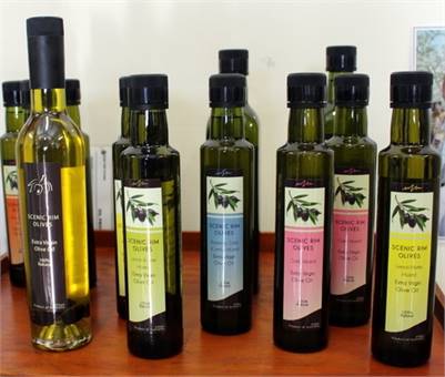 Scenic Rim Olives